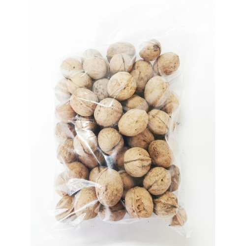 38-核桃 WALNUT WITH SHELL
