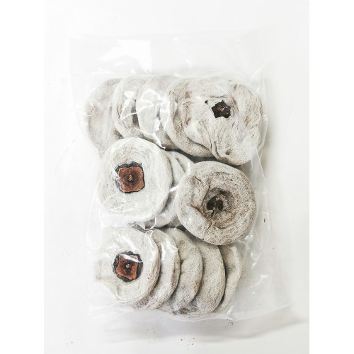 33-柿饼 PERSIMMON DRIED