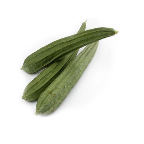 14-LUFFA GOURD (MARROW SQUASH)  / LABU LUFFA (角瓜)