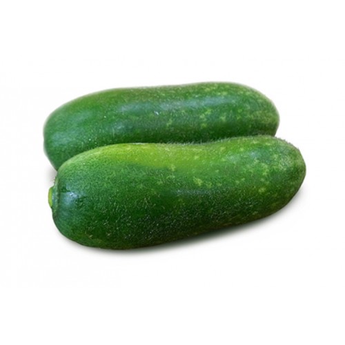 14-HAIRY GOURD / LABU BERBULU (毛瓜)