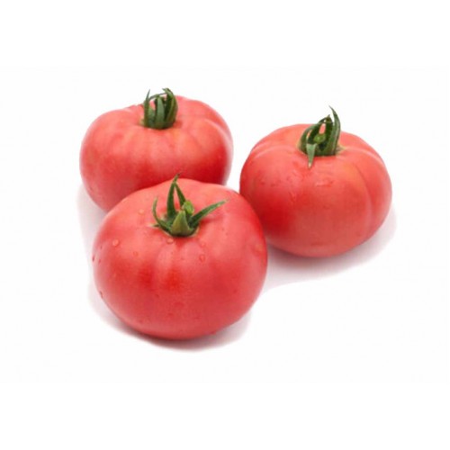 14-TOMATOES JAPAN / TOMATO JEPUN (日本番茄)