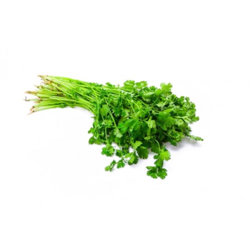 14-CORIANDER CHINA (中国香菜 / 芫荽)