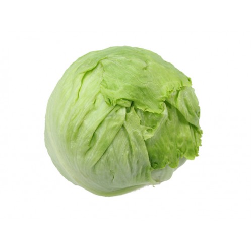 14-LETTUCE ICEBERG (生菜球)