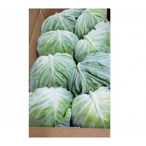 Fresh Fruits & Vegetables