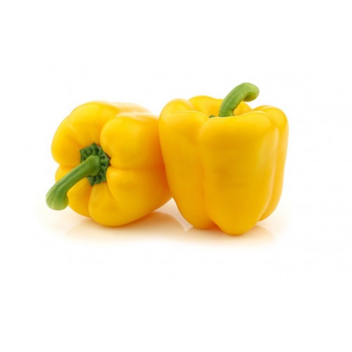 14-CAPSICUM YELLOW (黄灯笼椒)
