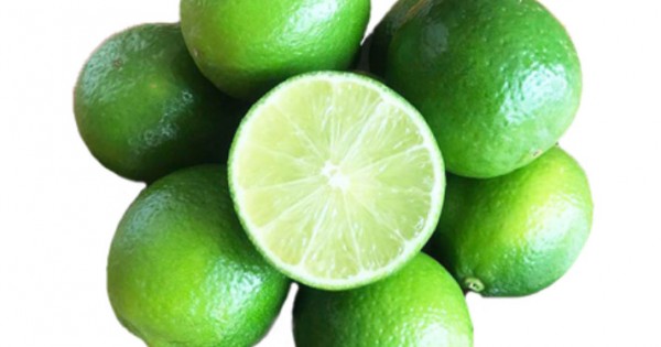 FRESH VEGETABLE GREEN LIME SEEDLESS / LIMAU HIJAU (酸柑)