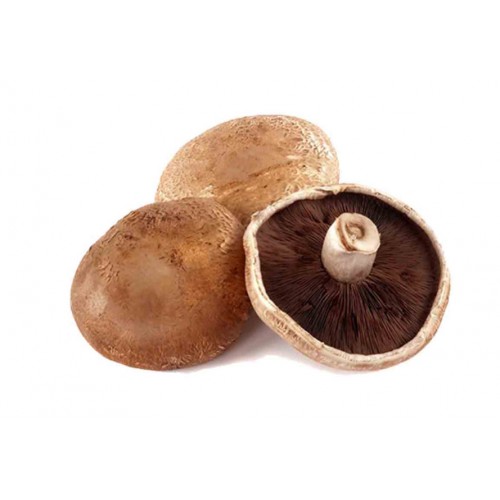 14-MUSHROOM PORTOBELLO (大扁褐蘑菇)