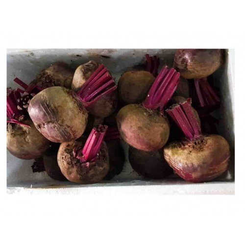 Fresh Fruits & Vegetables