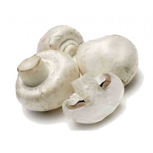 14-MUSHROOM BUTTON WHITE (白色纽扣蘑菇)