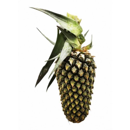 Fresh Fruits & Vegetables