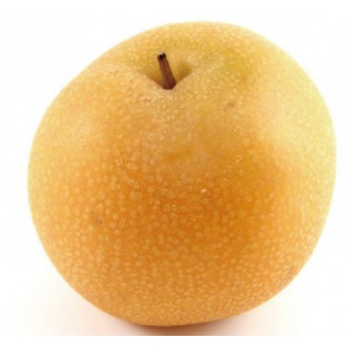 Fresh Fruits & Vegetables