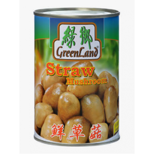 31-草菇粒 STRAW MUSHROOM WHOLE GREENLAND / CENDAWAN STRAW DALAM TIN